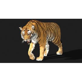 Tiger (3) (Animated) (Fur)